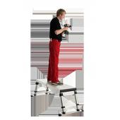  PLATE FORME TELESCOPIQUE HAUTE 