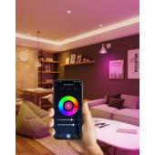  Lpe connecte TUYA A60 E27 9,2 