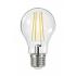  Lpe standard A60 Filament LED 