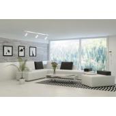  JUDY-Rail 1all. 029 +4 spots G 