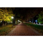  MORPHIS - Tte de lanterne LED 