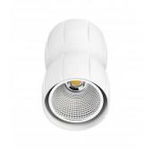  CURVES - Suspension, alu blc, 