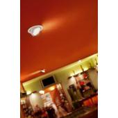  DIAM 01 - Spot sur pat�re GU10 