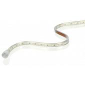  LINELED - Ruban LED protg IP 