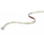  LINELED - Ruban LED protg IP 