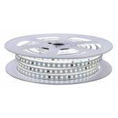  LYN 14 - Ruban protg IP65 23 