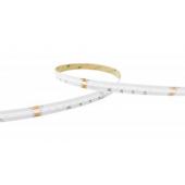  FLEXICOB Ruban 24V LED COB RGB 