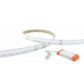  FLEXICOB RG Ruban 24V LED COB 