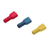  Fiche Plate Femelle enti�remen 