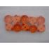  Presse-toupe Capriclips Colle 