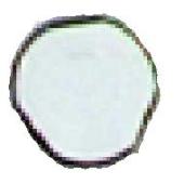  Vis Antivandale M5X25 pour sys 