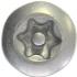  Vis Torx N20 4X10 pour gamme s 