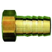  1701 Racc femelle po/ poly�thy 