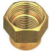  "R�duction femelle-femelle bru 