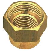  R�duction femelle-femelle brut 