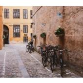  Lanterne col de cygne E27 SSL 