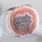  Manchon � sertir, Cuivre, EG, 