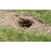  "Piquet de terre pointu, liais 