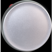  COMETE BP SILVER � ouverture ( 