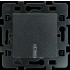  VV lumineux ou t�moin anthraci 