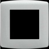  """Plaque """"silver"""" 1 pos 