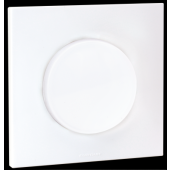  SQUARE - BP + plaque + griffes 