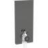  Panneau Geberit Monolith+ WC s 