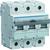  Disjoncteur 80A 3P 15kA Courbe 