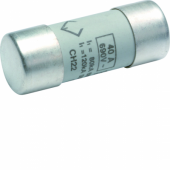  Cartouche Fusible cylindrique 