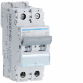  Disjoncteur 63A 2P 6-10kA Cour 