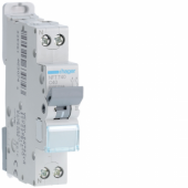  Disjoncteur 40A 1P+N 6-10kA Co 