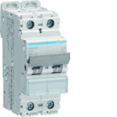  Disjoncteur 40A 2P 20kA Courbe 