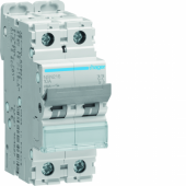 Disjoncteur 16A 2P 25kA Courbe 