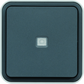  Bouton poussoir 1F  voyant t 