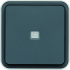  Bouton poussoir 1F  voyant t 