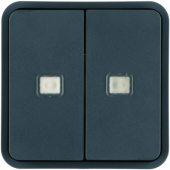  Cubyko 2 touches KNX  voyants 