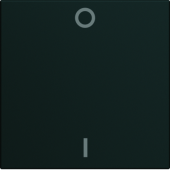  Enjoliveur gallery interrupteu 