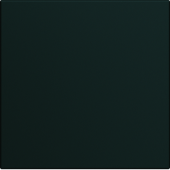  Enjoliveur interrupteur galler 