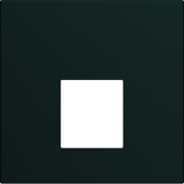  Enjoliveur gallery prise RJ45 