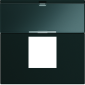  Enjoliveur gallery prise RJ45 