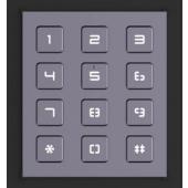  DS-KD-KP Module clavier Interp 