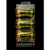  DS-PM1-I1-WE Transmetteur, 868 