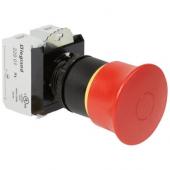  Coup de poing  accrochage non 