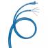  Cordon RJ45/dgain - Cat.6 - 