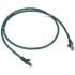  Cordon de brassage RJ45 - Cat. 