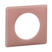  Plaque Cliane Poudr 1 poste 