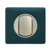  Plaque Cliane 1 poste finitio 