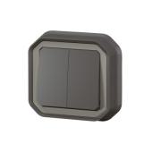  Plexo double interrupteur ou v 