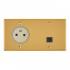 Prise 2P+T 16A 250V + RJ45 cat 