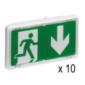  Lot de 10 BAES Evacuation 0625 